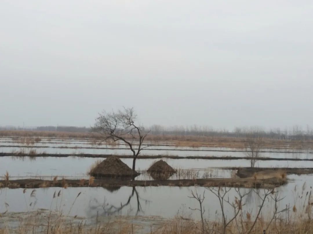 金锁玉关风水,谈“风”与“水”的效应 图片18 金锁玉关风水,谈“风”与“水”的效应 图片17