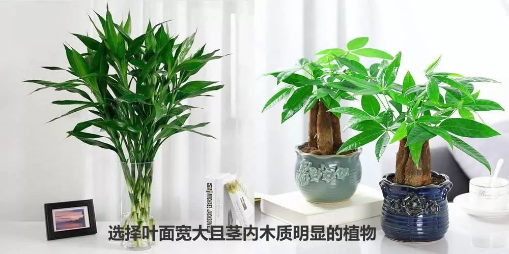 2020年升职加薪秘籍，读懂你的办公室风水 图片19