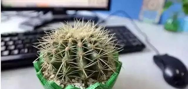 2020年升职加薪秘籍，读懂你的办公室风水 图片25