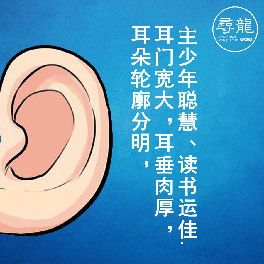 从面相三停,看你一生大运 图片14 从面相三停,看你一生大运 图片13
