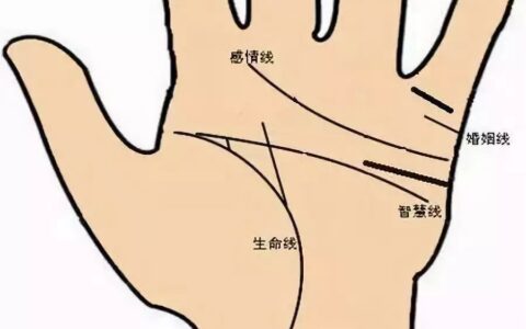 固执的人有什么面相特征