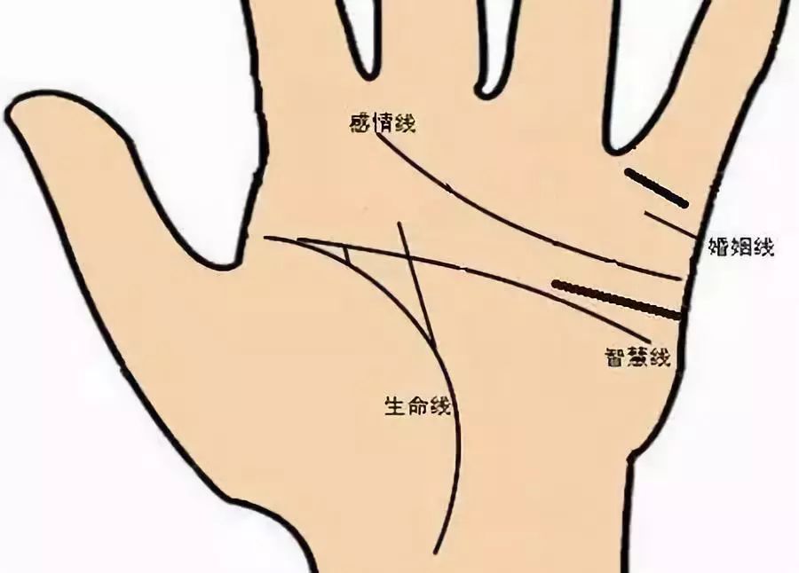 固执的人有什么面相特征 图片5