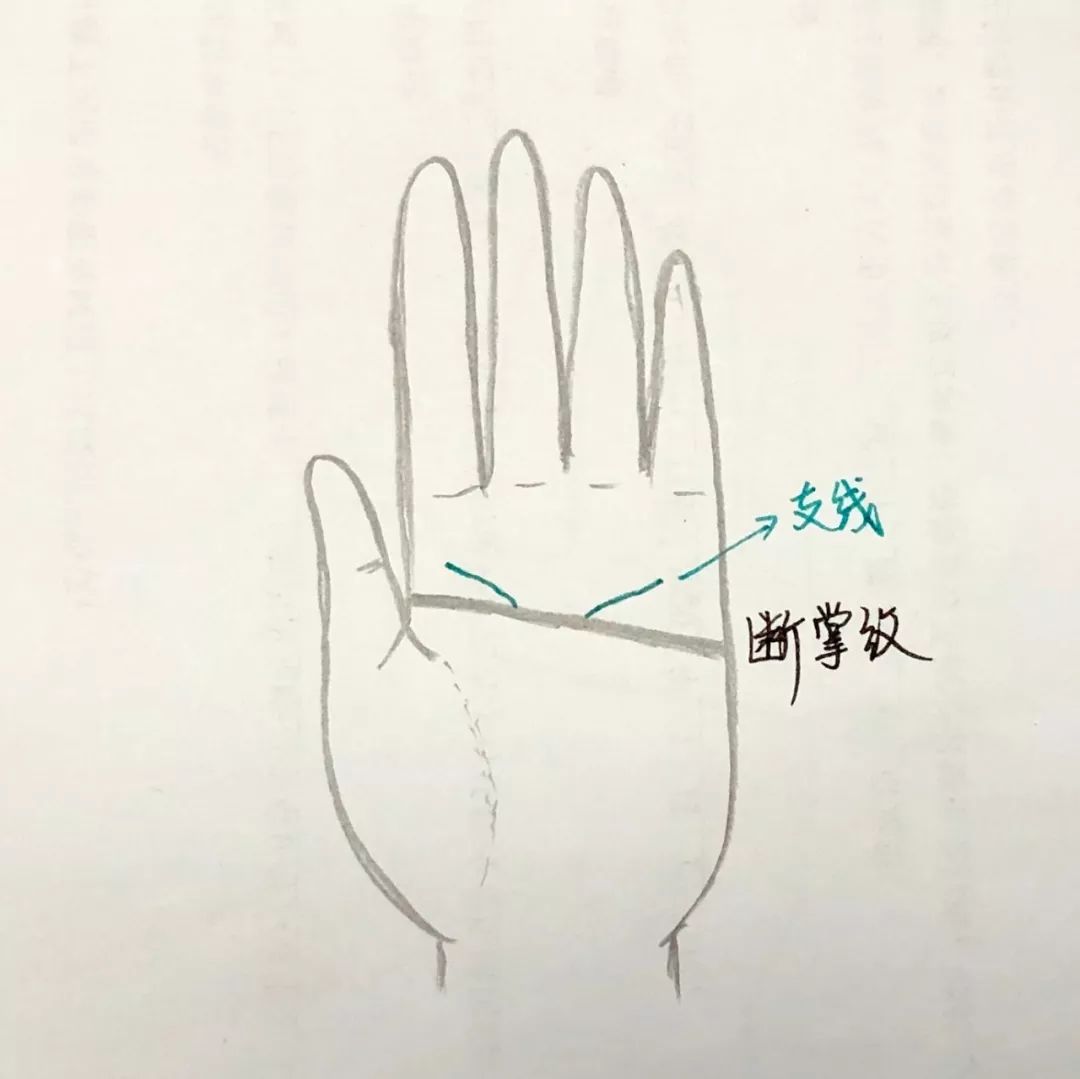 手相《断掌纹》掌心里的狠人标志特征 图片11