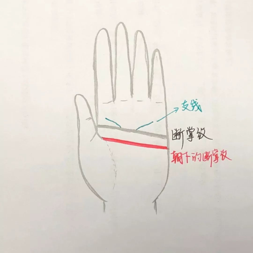 手相《断掌纹》掌心里的狠人标志特征 图片13