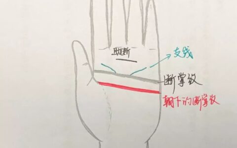 手相《断掌纹》掌心里的狠人标志特征
