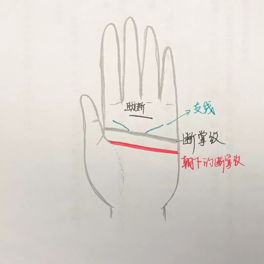 手相《断掌纹》掌心里的狠人标志特征 图片15