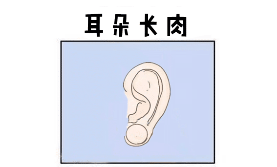 臀部有肉,必大富,五种走大运的发财相 图片6 臀部有肉,必大富,五种走大运的发财相 图片5