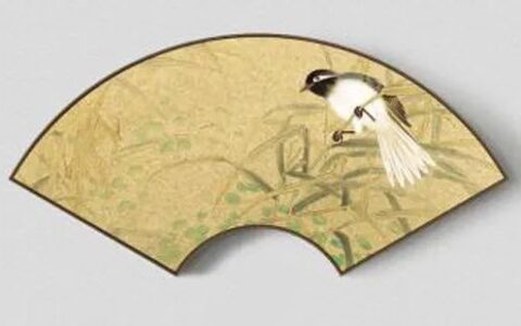 给家里风水布局，到底放什么好？