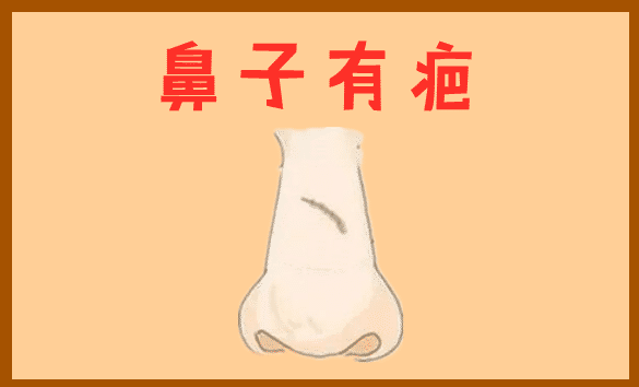 五种娶不起的女人面相，帮夫运差，强势野心大，嫌弃丈夫没本事！ 图片7