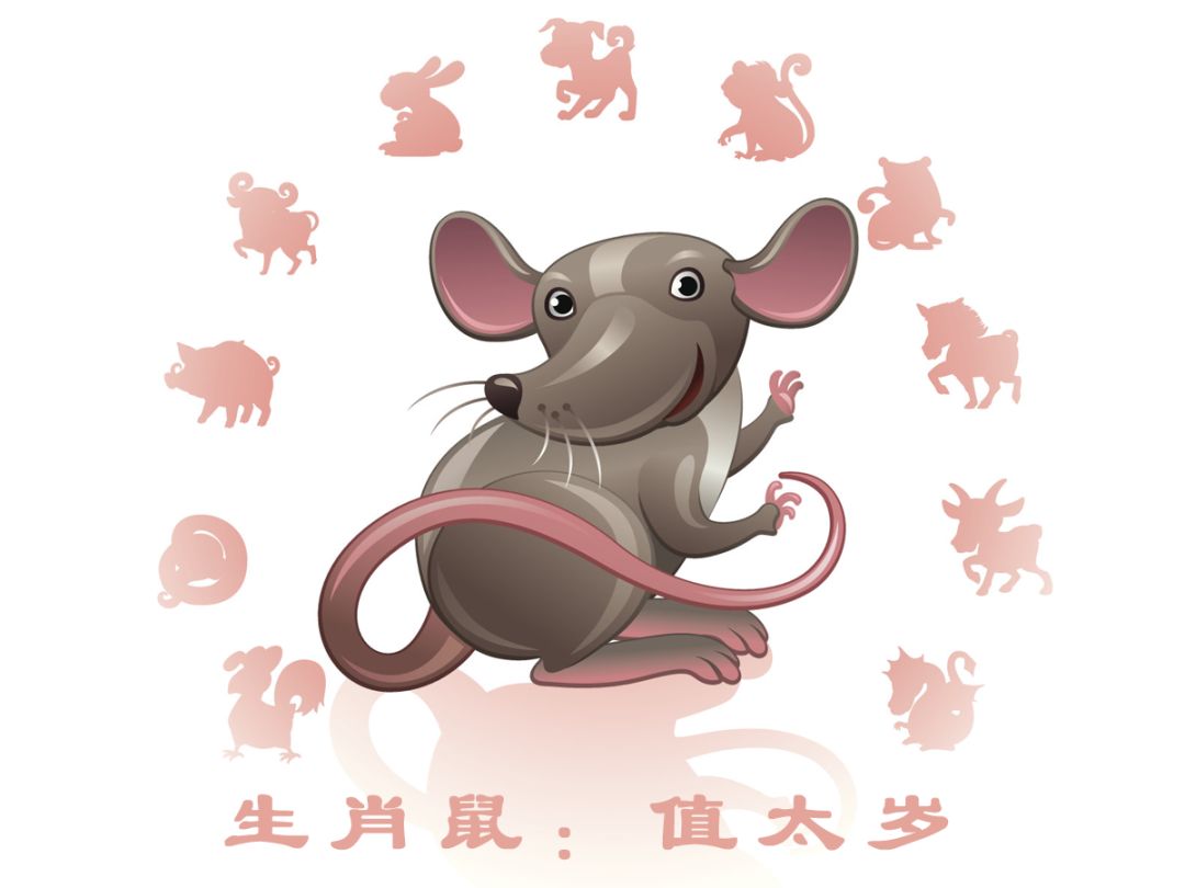揭秘2020年犯太岁的5大生肖,如何化太岁? 图片4 揭秘2020年犯太岁的5大生肖,如何化太岁? 图片3