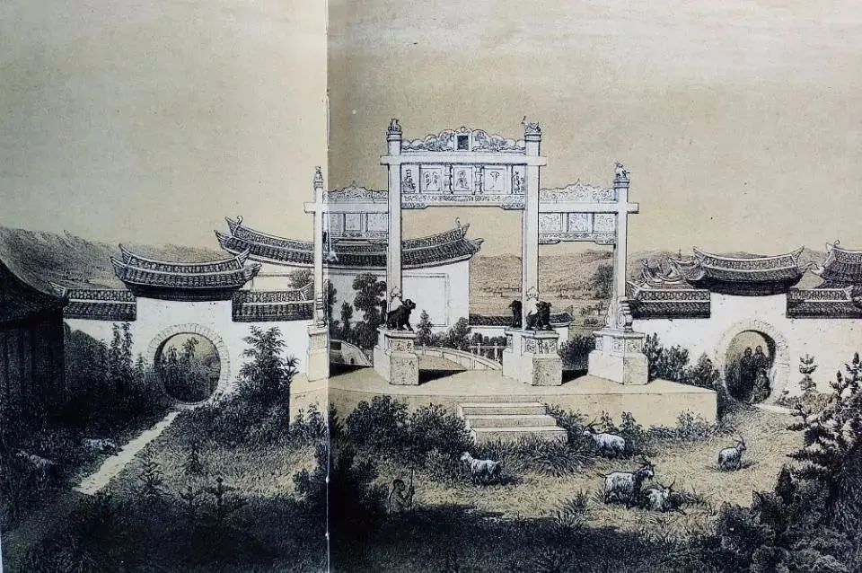 根据黑死病数据预测新冠病毒的发展方向 图片7