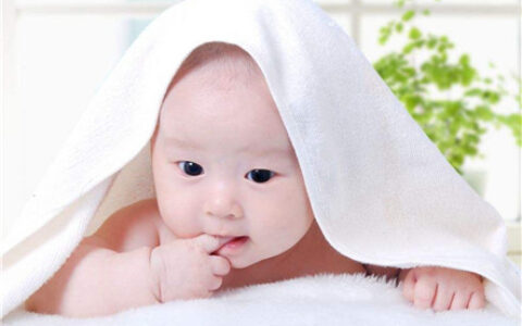 新生孩子名字测试打分