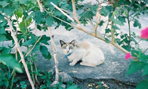十二星座如何治愈自己的悲伤？ 图片5