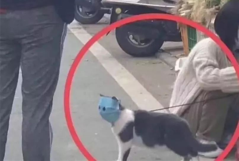 如何营造好的办公室风水，减少病毒感染的可能 图片3
