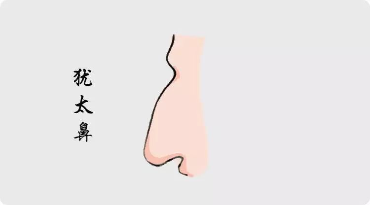拥有这几种鼻相的人，必定超凡脱俗人中龙凤 图片1