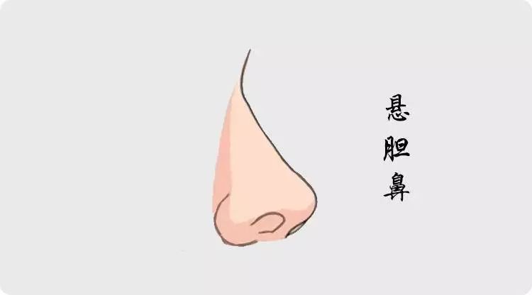 拥有这几种鼻相的人，必定超凡脱俗人中龙凤 图片3