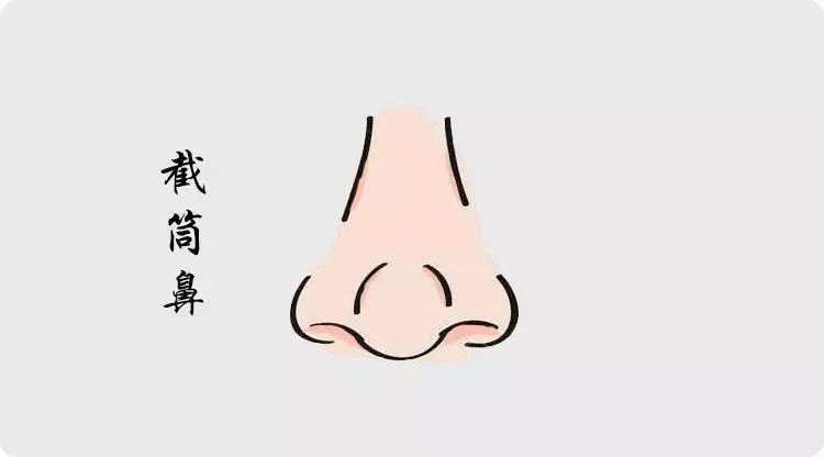 拥有这几种鼻相的人，必定超凡脱俗人中龙凤 图片5