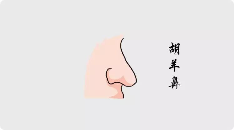 拥有这几种鼻相的人，必定超凡脱俗人中龙凤 图片7