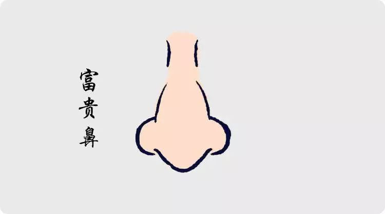 拥有这几种鼻相的人，必定超凡脱俗人中龙凤 图片9