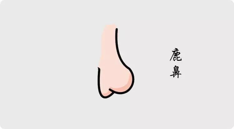 拥有这几种鼻相的人，必定超凡脱俗人中龙凤 图片11