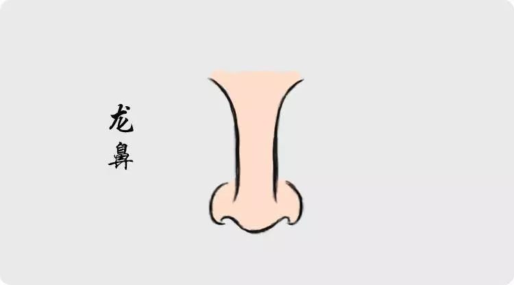 拥有这几种鼻相的人，必定超凡脱俗人中龙凤 图片13