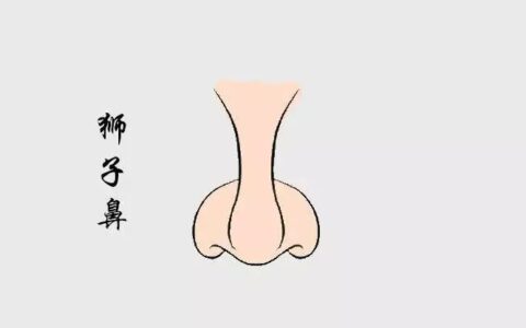 拥有这几种鼻相的人，必定超凡脱俗人中龙凤