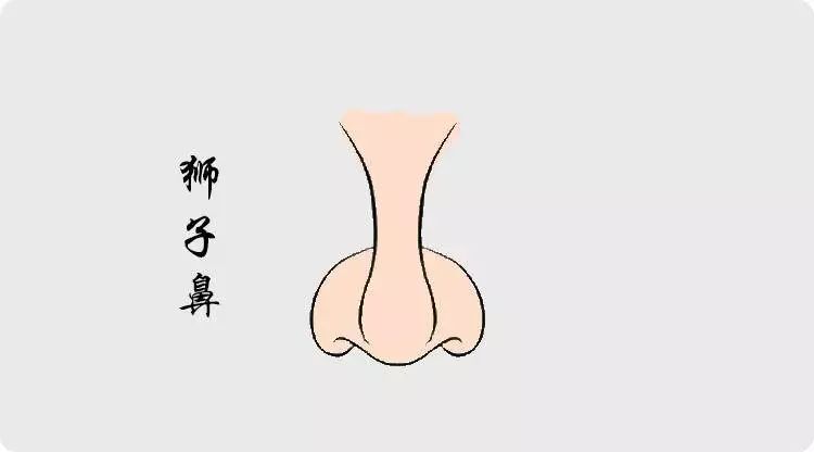 拥有这几种鼻相的人，必定超凡脱俗人中龙凤 图片17