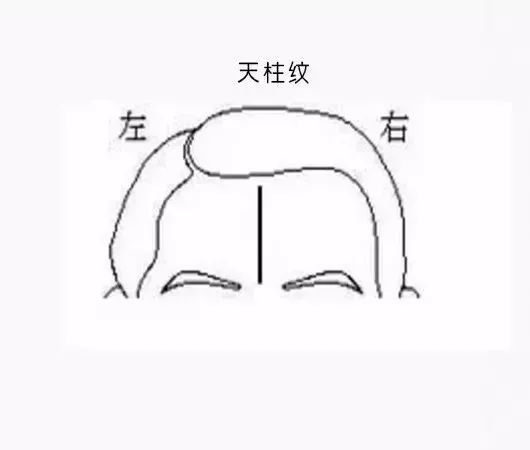 图解面相纹路：脸上的纹路打有玄机 图片7