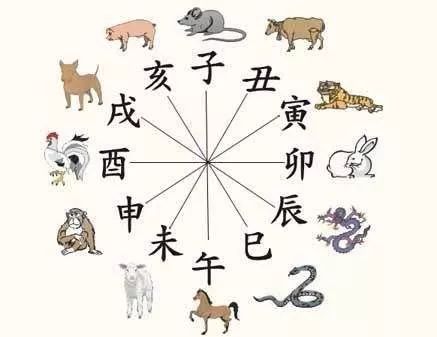 羊入虎口鸡犬不宁，一家人生肖相爱相杀怎么办？ 图片3
