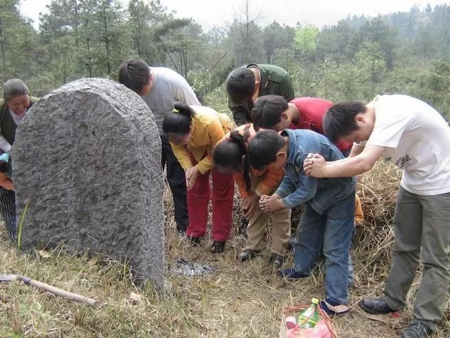 祖坟长草长树好不好？什么样的祖坟风水好 图片3