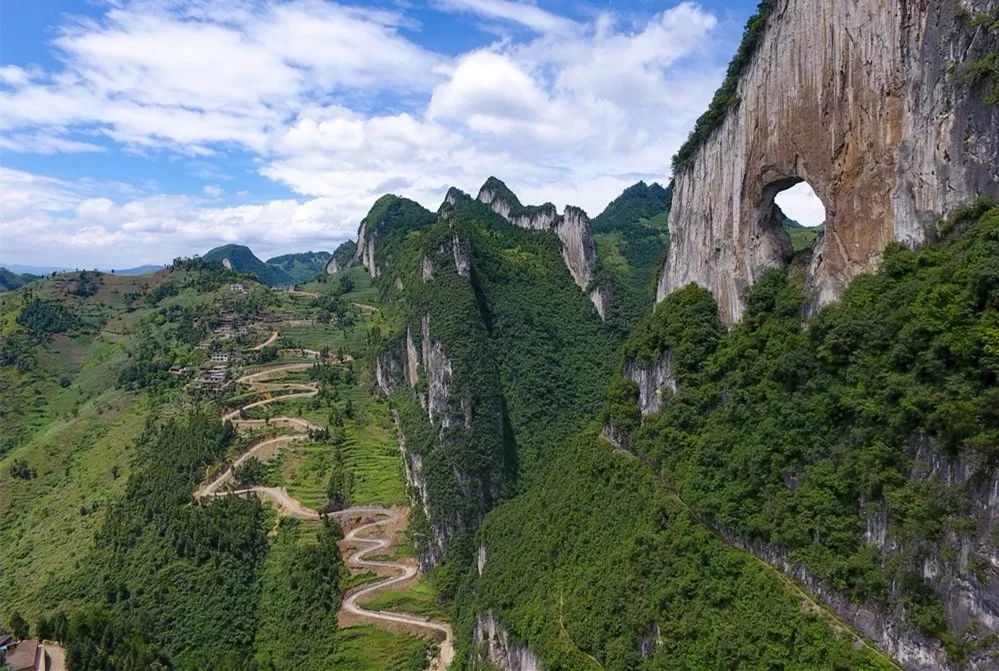 祖坟长草长树好不好？什么样的祖坟风水好 图片9