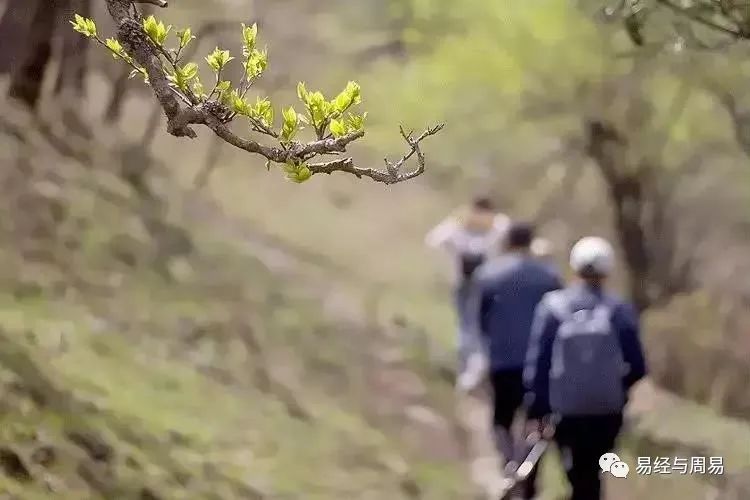 易经解析：清明节为什么要祭祖、要注意什么？ 图片1