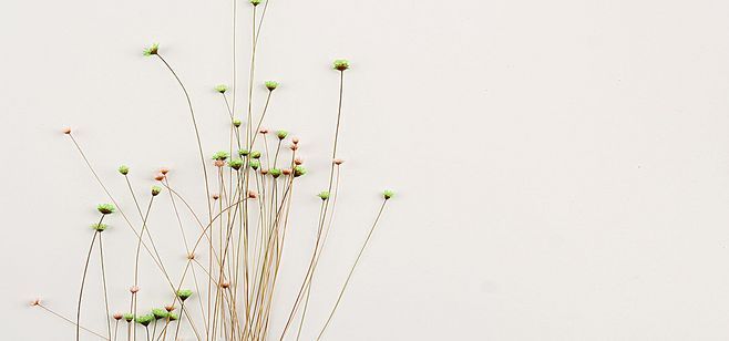 狮子座作为朋友值得深交，三观超正！ 图片3