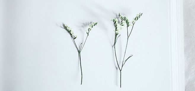 狮子座作为朋友值得深交，三观超正！ 图片5