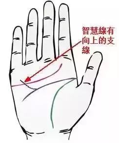 有些人一辈子注定发不了财,掌纹一早就告诉你了 图片14 有些人一辈子注定发不了财,掌纹一早就告诉你了 图片13