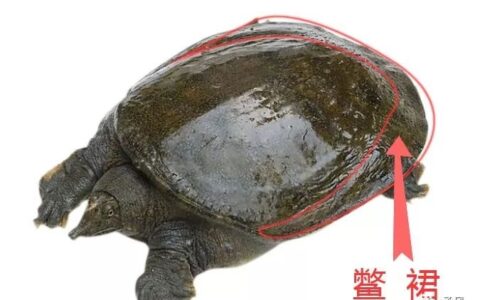 风水学术语“裀褥”是什么意思？