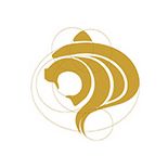 2020庚子年十二生肖年度运势分析大全 图片5