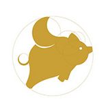 2020庚子年十二生肖年度运势分析大全 图片23