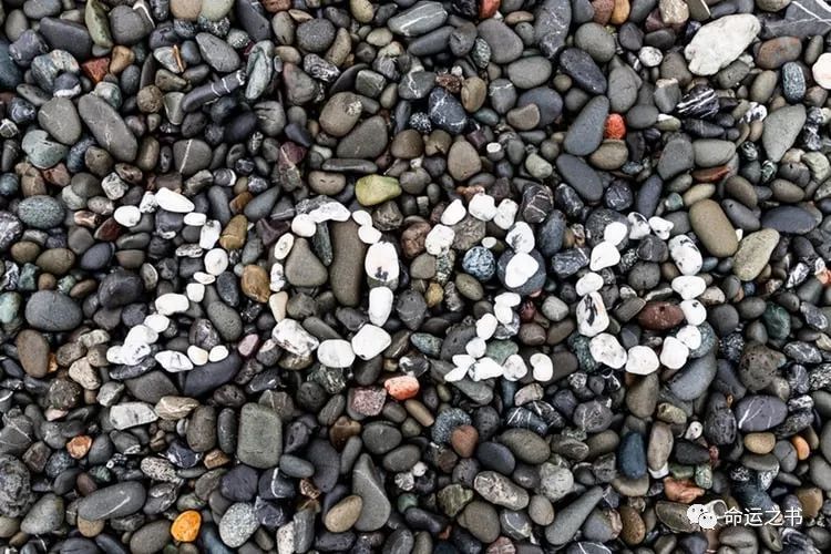 2020年十二生肖属鼠的人运势分析大全 图片2 2020年十二生肖属鼠的人运势分析大全 图片1