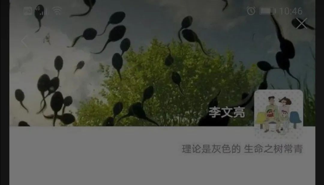 微信头像风水大总结 图片7