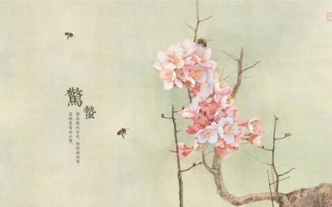 庚子年己卯月周运：3月23日—3月29日