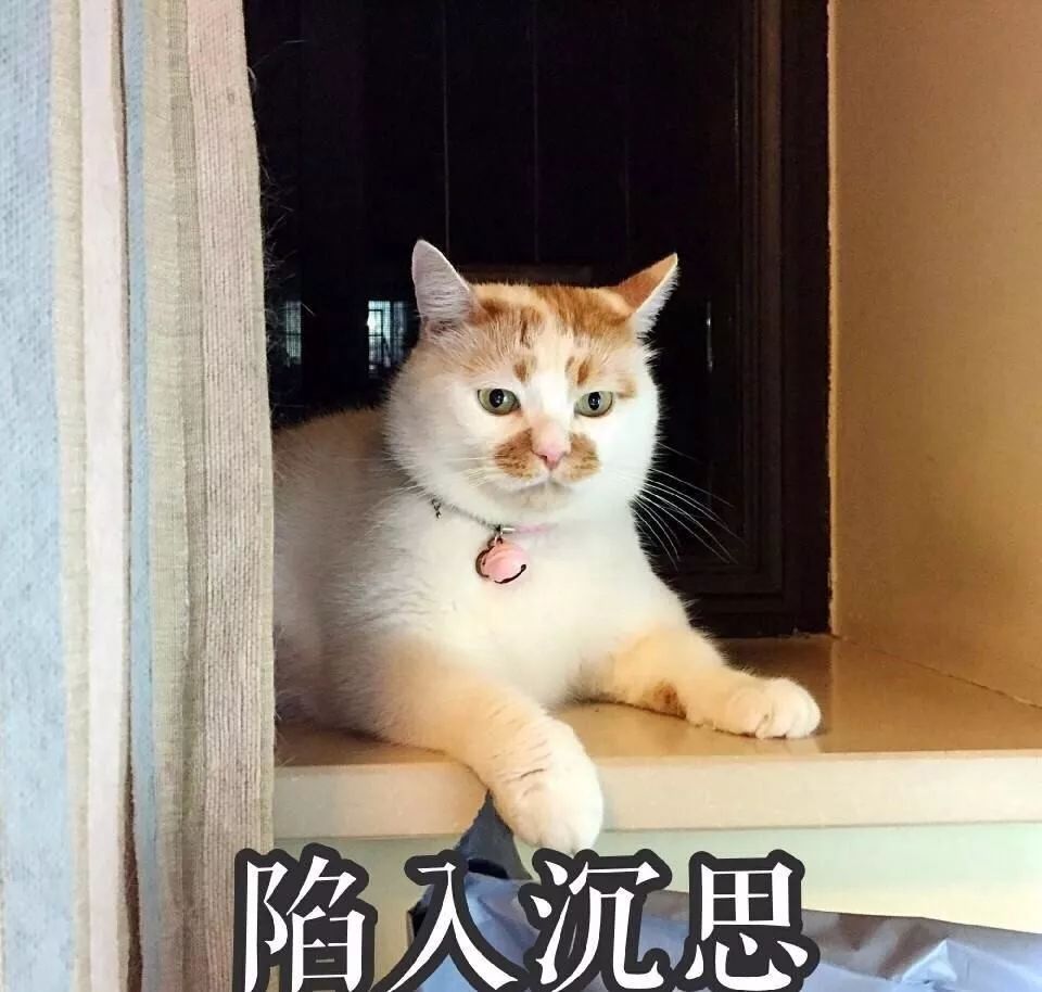 复工必备丨疫情时期，还需要改善办公桌风水 图片9
