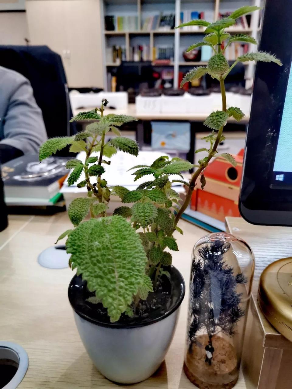 复工必备丨疫情时期，还需要改善办公桌风水 图片23