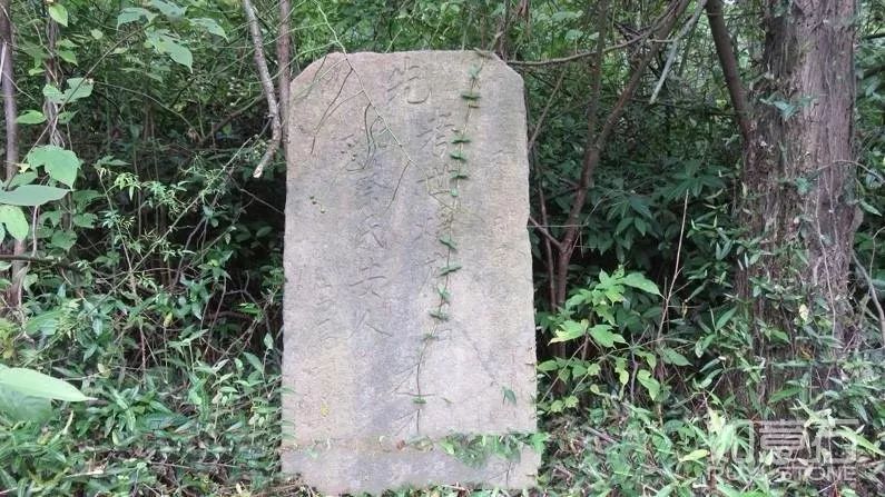 ​家中世代平凡，怎样能在这代出文才官贵 图片9