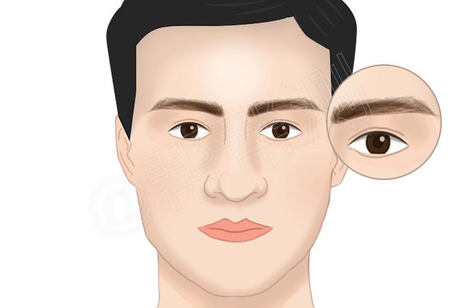 面相看你这辈子是靠另一半,靠子女还是靠自己? 图片10 面相看你这辈子是靠另一半,靠子女还是靠自己? 图片9