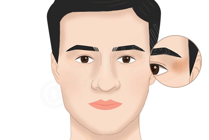 面相看你这辈子是靠另一半,靠子女还是靠自己? 图片18 面相看你这辈子是靠另一半,靠子女还是靠自己? 图片17
