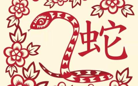 2020运势抢先看！【生肖蛇】人缘大开之年