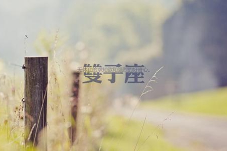 7月双子座能实现理想吗 2021年星座运势 图片3
