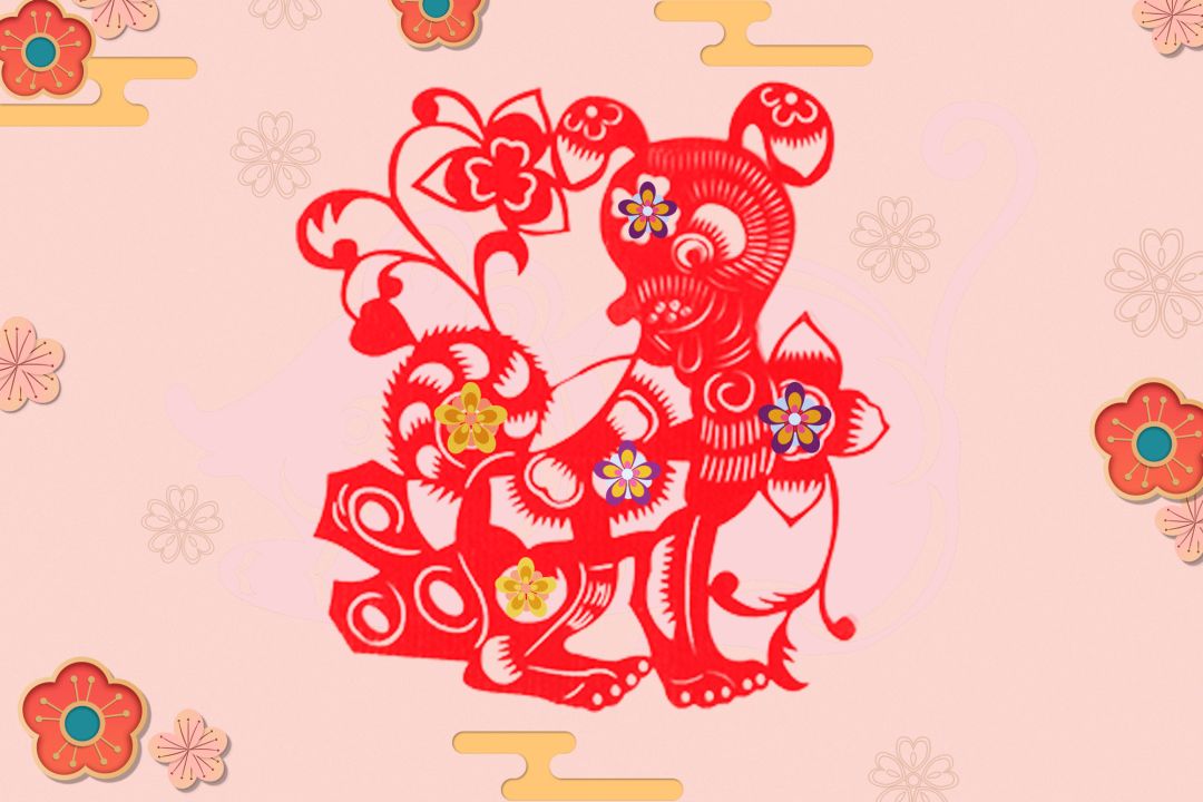 2020年生肖属狗的人旺姻缘锦囊 图片1