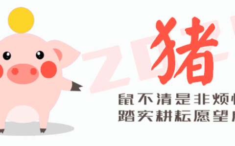 2020年十二生肖全运程大揭秘！准到爆！